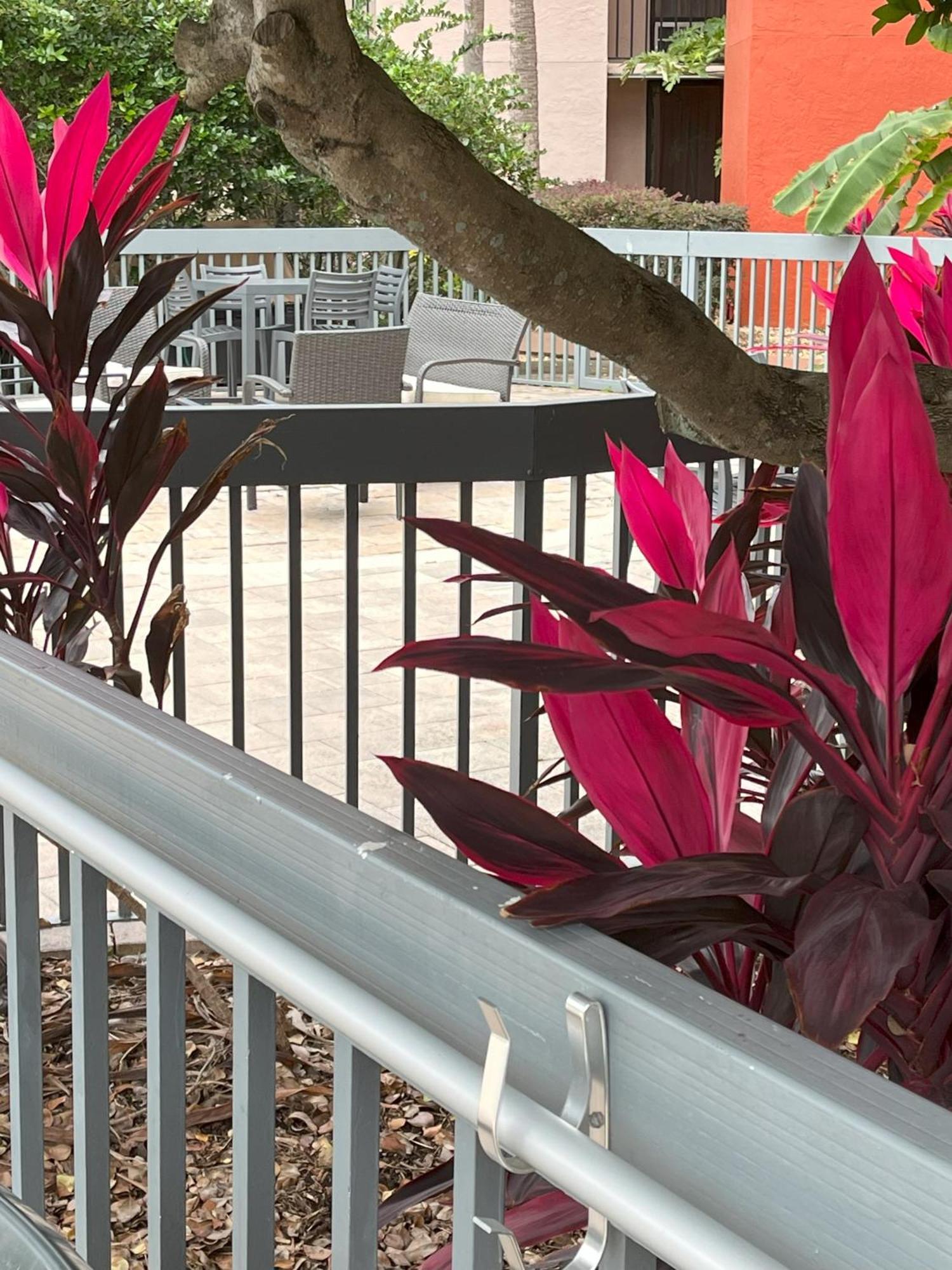 Grand Hotel Orlando At Universal Blvd - Shuttle To Theme Parks Eksteriør bilde